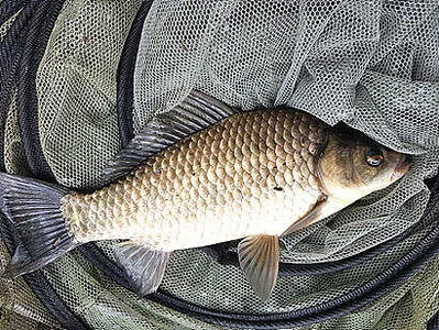 가을 불청객 미탁이 지나고난 현향 입니다.