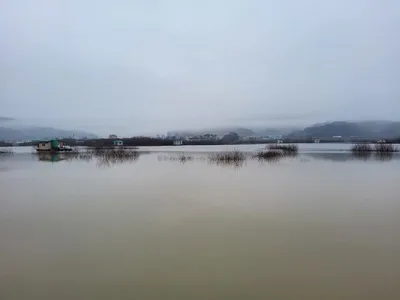 4짜로 시작하는 고삼지