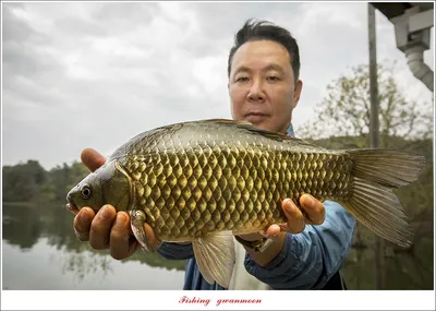 충주호 오름수위..용원지 4 짜 조황..