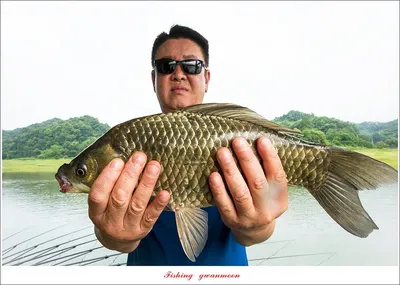 제일 45 cm 대물 및 마릿수 조황..