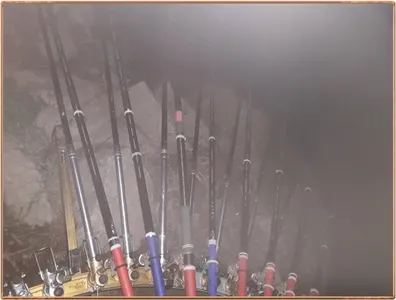 진위천 조황 소식