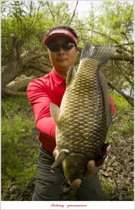 남한강 4 짜 대박조황..