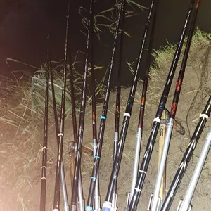 진위천 평택호 조황 