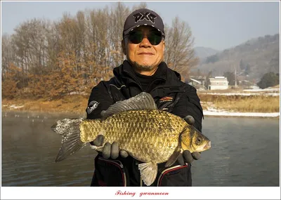 한버들 43.5 cm 대물 및 월척 조황..