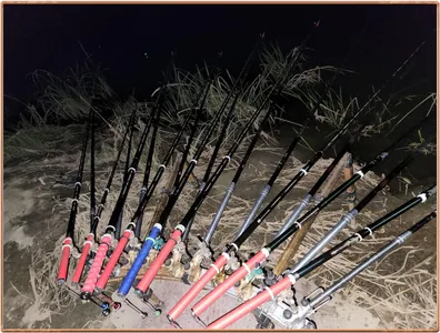 진위천 평택호 조황 