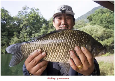 솔 43.5 cm 대물 및 월척 조황..