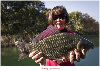 돌감 4 짜 대물 조황..