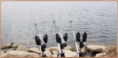 진위천 조황 소식