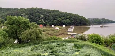 오름수위속 대물들===고삼지