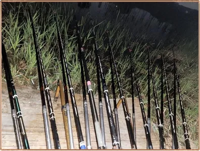 진위천 평택호 조황 