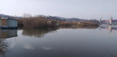 고삼지 노지 멋진 4짜