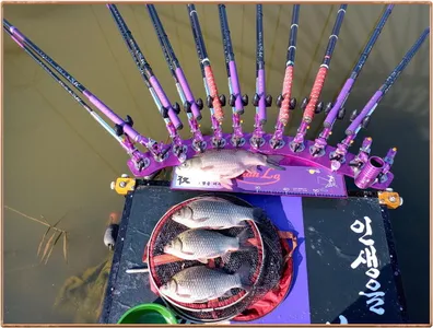 진위천 평택호 조황 