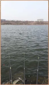 진위천 조황 소식