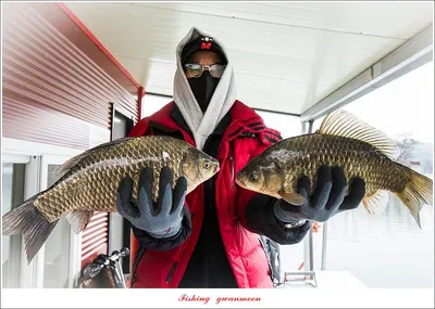 솔 40 cm..38 cm..35 cm..34 cm..