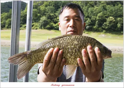 목벌 4 짜 및 월척..화곡지 조황..