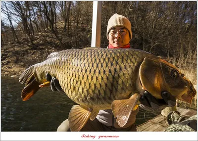 꽃바위 겨울 낚시..빙어 낚시..