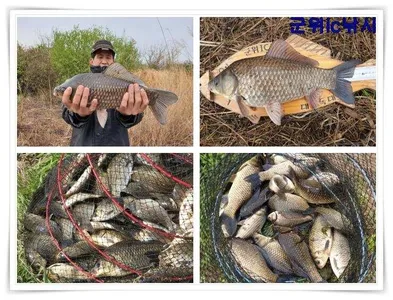 대물 43 과 초대박 마릿수들 ~~