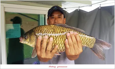 한버들 45 cm..대물 및 오름수위 현황..