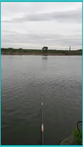 진위천 조황 소식