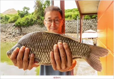 남한강..달천강..화곡지..용원지 조황..