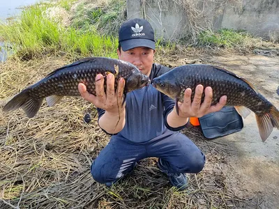  경북북부권  평지형저수지 휴면기 끝이나고 먹이활동시작 ~