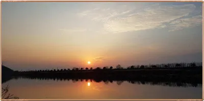 진위천 조황 소식