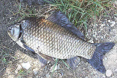 5월 하순의 조황전망 입니다.