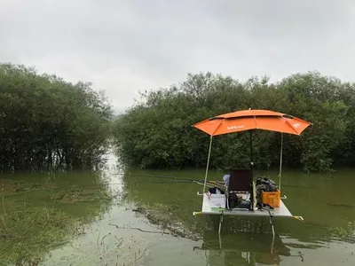 고삼지 노지의 4짜들