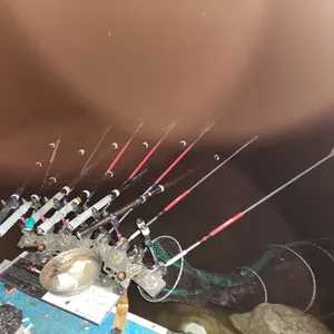 평택호 진위천 조황 소식