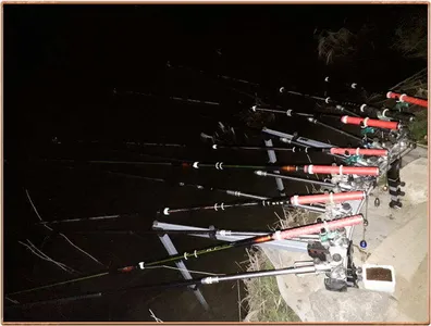 진위천 조황 소식