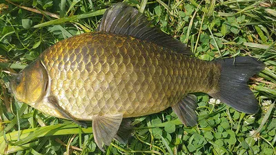 배수걱정없는 의성권 ~