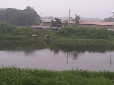 무료터 청미천의 괴물