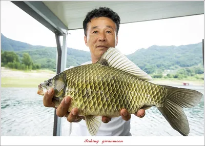 솔..명서.. 오름수위 조황..