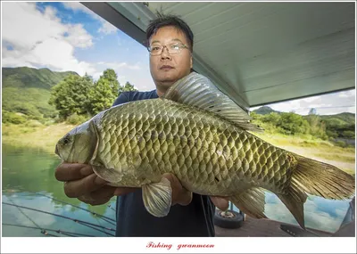 충주호 가을 오름수위..