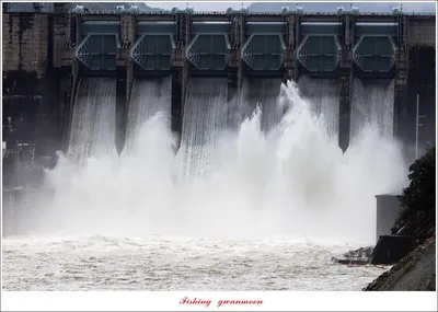 충주호 만수위 및 신리 4 짜 대물 조황..