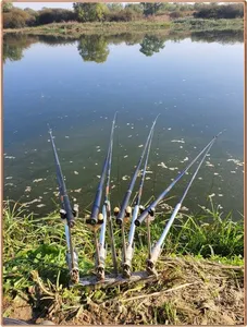 진위천 조황 소식