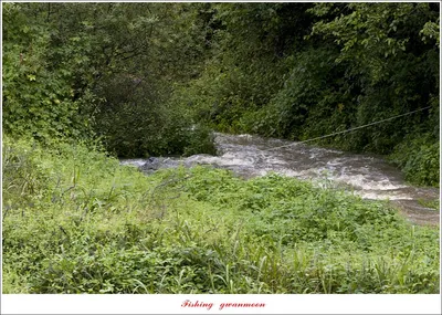 충주호 오름수위..화곡지 조황..