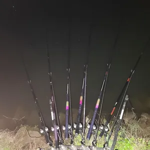 평택호 진위천 조황 소식