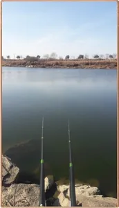 진위천 조황 소식