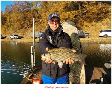 목벌 42 cm..신리 41 cm..40.8 cm..실리곡 39 cm..38 cm..대물 조황..