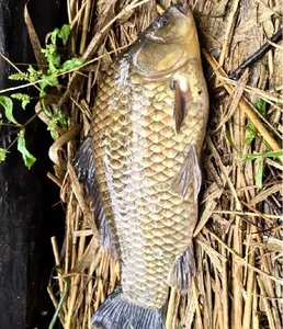 더위를 이긴 9월의 저수지