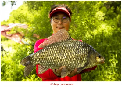 목벌 4 짜  및 남한강 4 짜 조황..