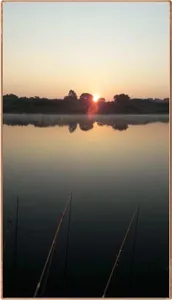 진위천 조황 소식