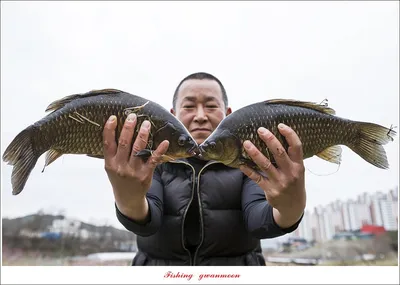 화곡지 호조황..용원지..노지 조황..