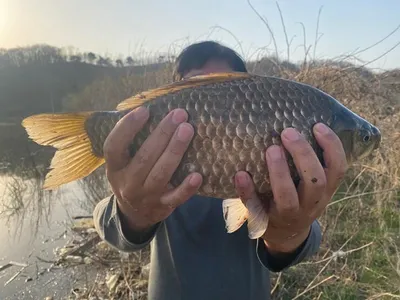 고삼지===4짜들이 올라옵니다