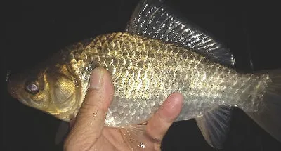 새로운 출발점에 선 3월의 조황 안내 입니다.