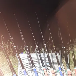 평택호 진위천 조황 소식