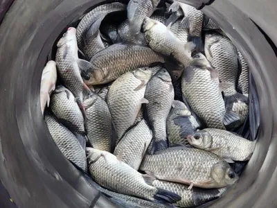 두창지==착한 낚시터입니다