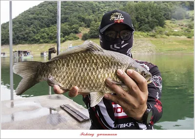 목벌 41cm..40 cm..허리급 월척 조황..