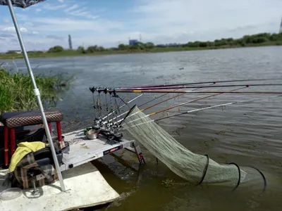 진위천 조황 소식